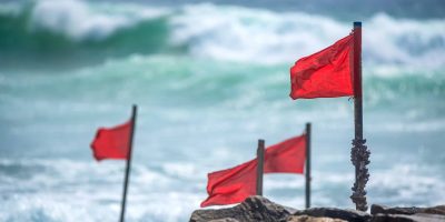 four fed flags are staked on rocks by water meant to symbolize the red flags investors can look for to spot bad financial advice
